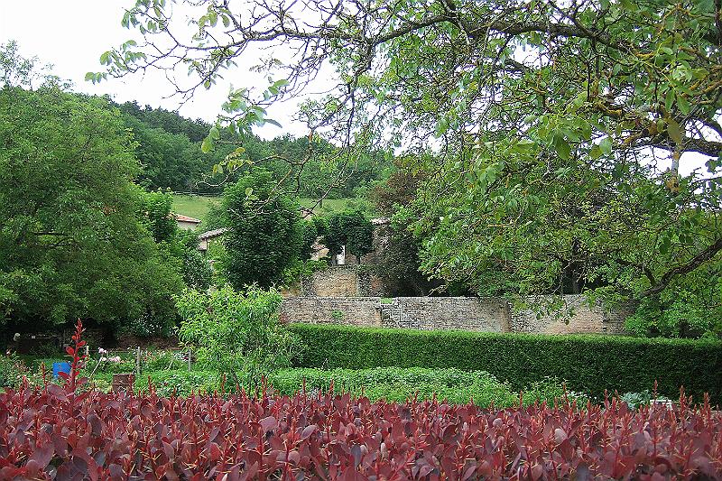 2010-06- (58).JPG